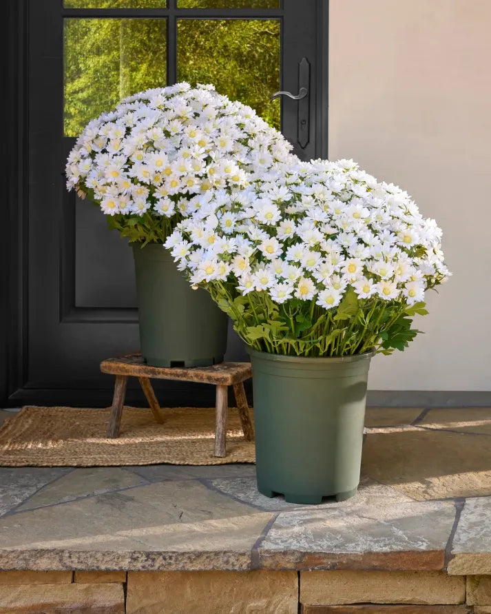 💥Last Day Each - Artificial Outdoor Sunset Mums Flowers -  Waterproof, Windproof