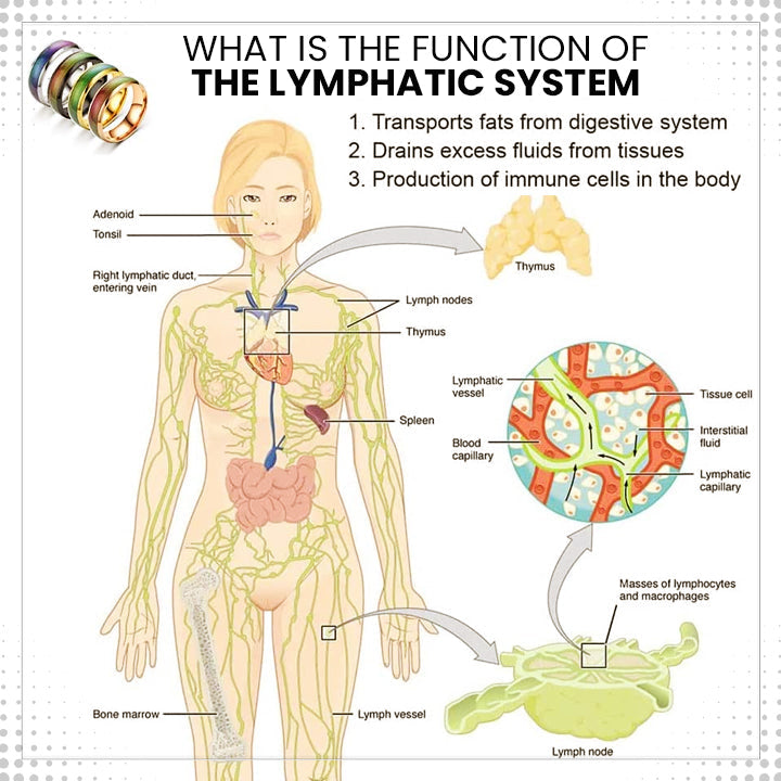 Lymphvity Thermotherapeutic Body Detox Ring（Limited time discount 🔥 last day）