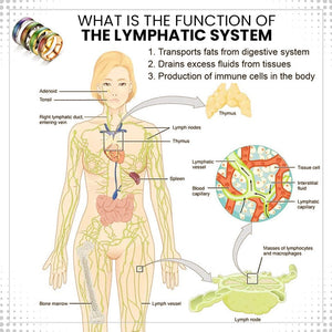 Lymphvity Thermotherapeutic Body Detox Ring（Limited time discount 🔥 last day）